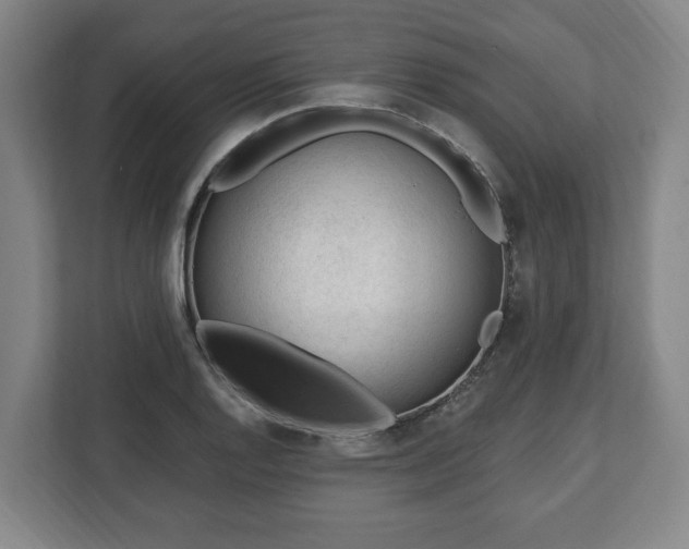 X0000112741128200908271516