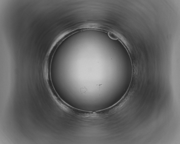 X0000112741131200908271516