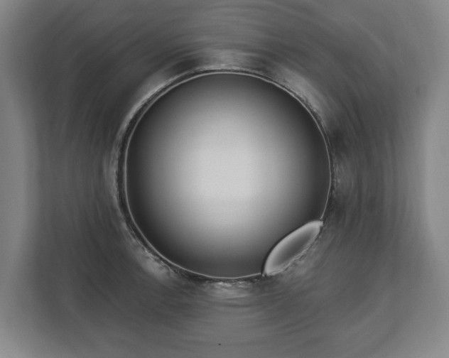 X0000112741138200908271516