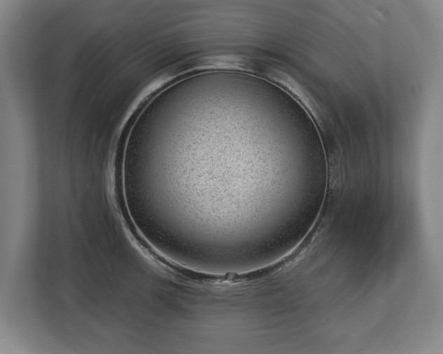 X0000112741139200908271516