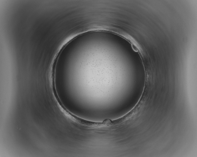 X0000112741143200908271516