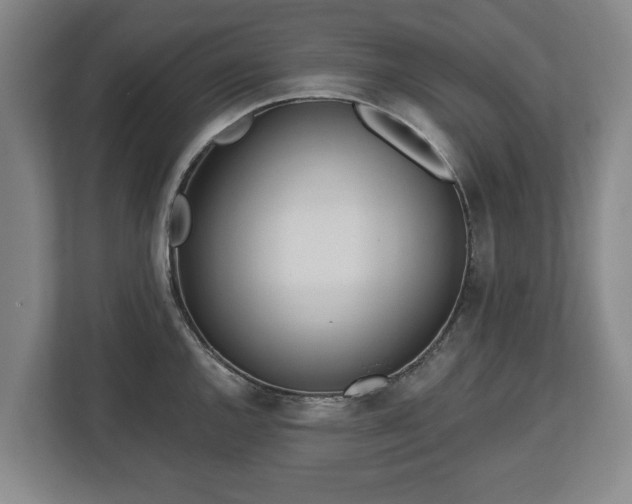 X0000112741144200908271516