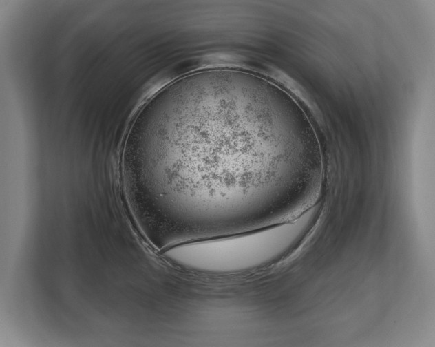 X0000112741145200908271516