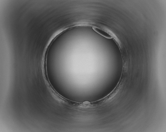 X0000112741146200908271516