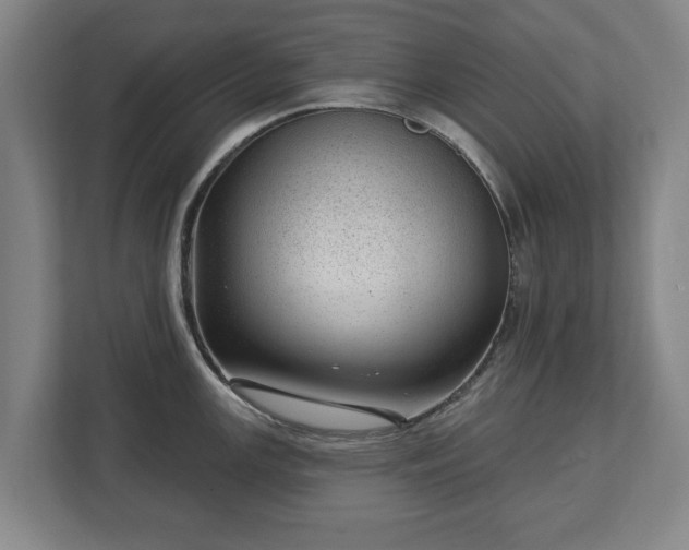 X0000112741147200908271516