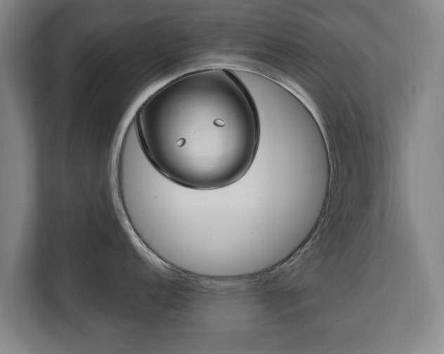 X0000112741152200908271516