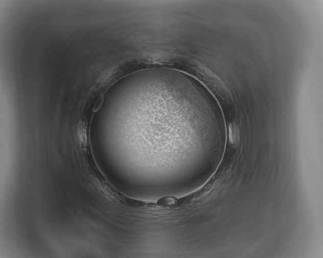 X0000112741155200908271516