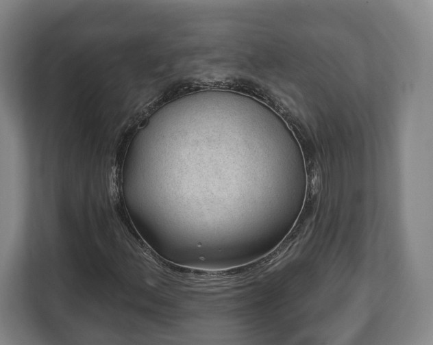 X0000112741156200908271516
