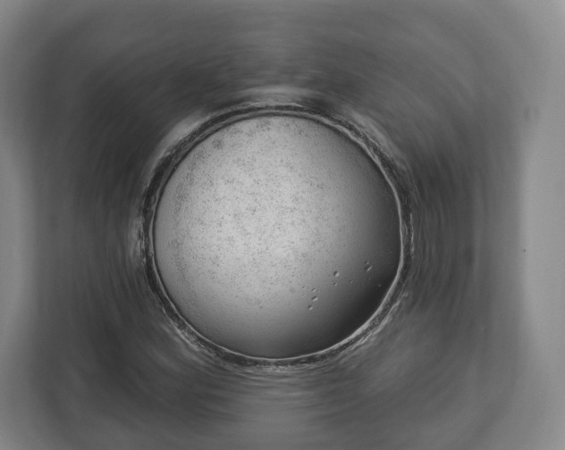 X0000112741164200908271516