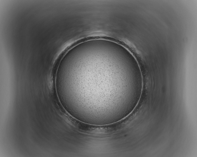 X0000112741167200908271516