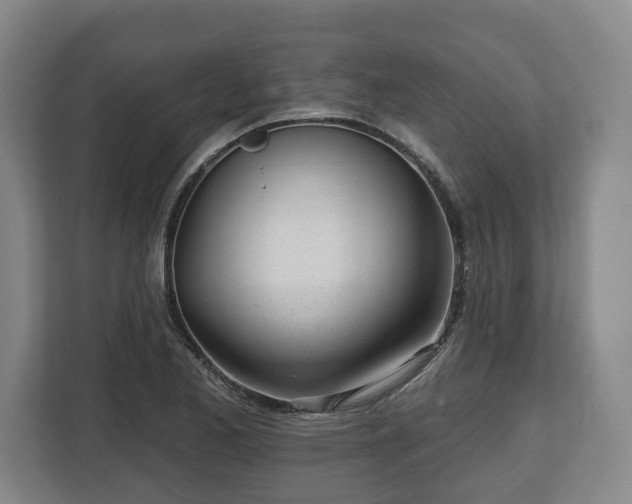 X0000112741173200908271515