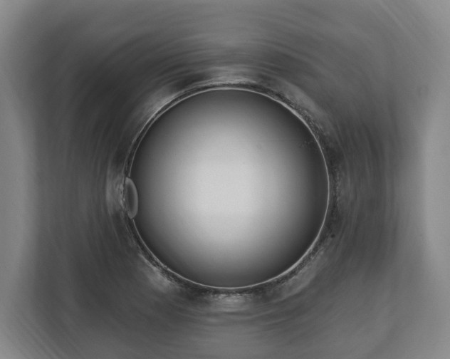 X0000112741177200908271515