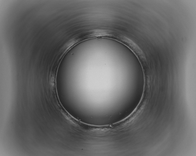 X0000112741185200908271515