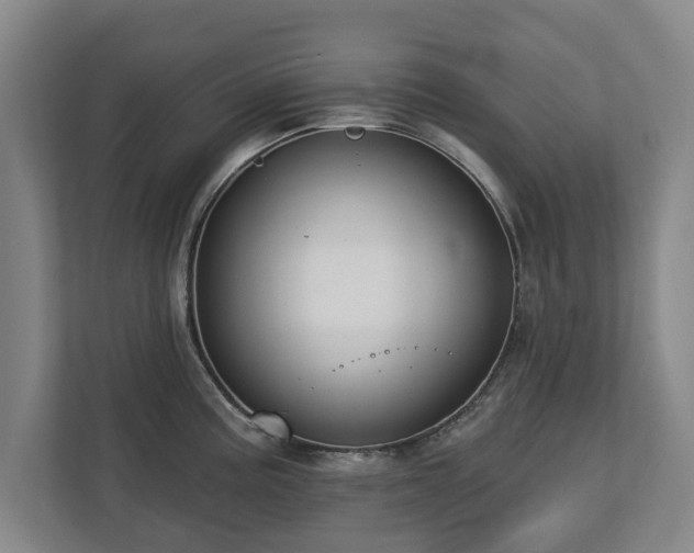 X0000112741195200908271515