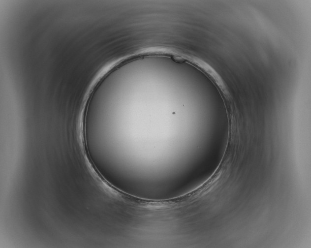 X0000112741199200908271515