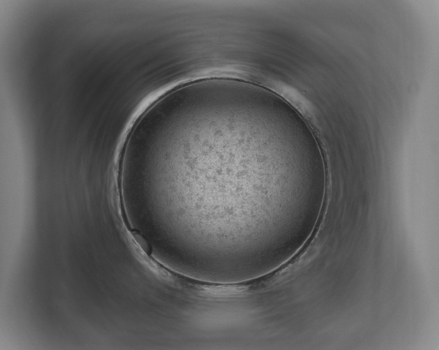 X0000112741200200908271515