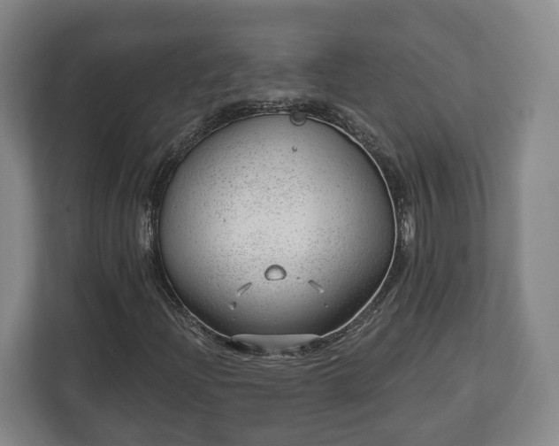 X0000112741204200908271514