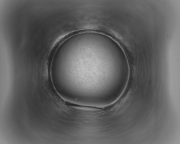 X0000112741214200908271515