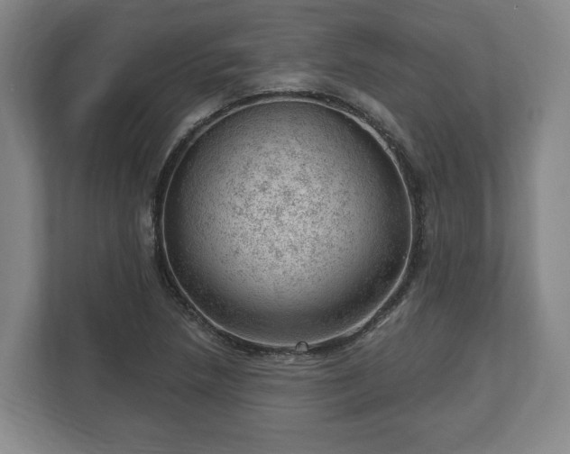 X0000112741218200908271515
