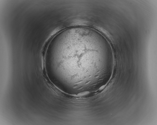 X0000112741219200908271515