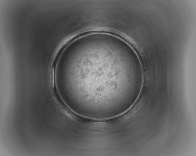 X0000112741223200908271515