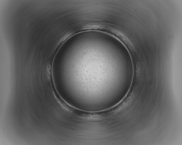 X0000112741233200908271515