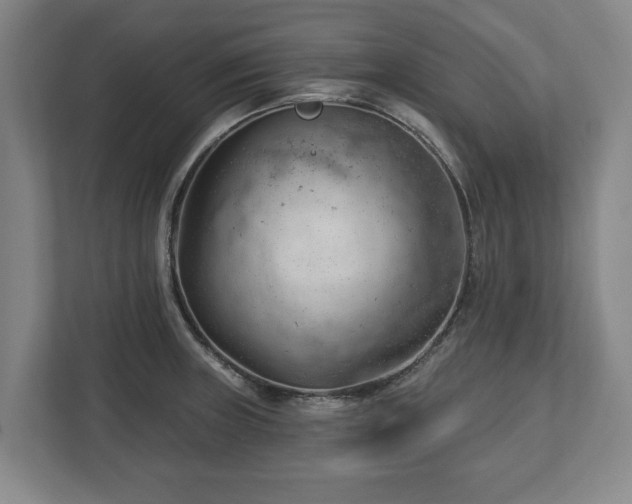 X0000112741235200908271515