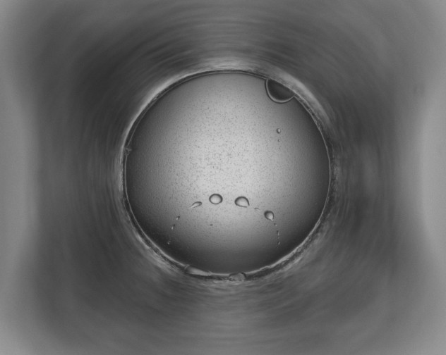 X0000112741236200908271515