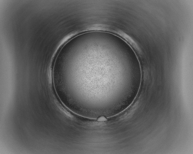 X0000112741238200908271515