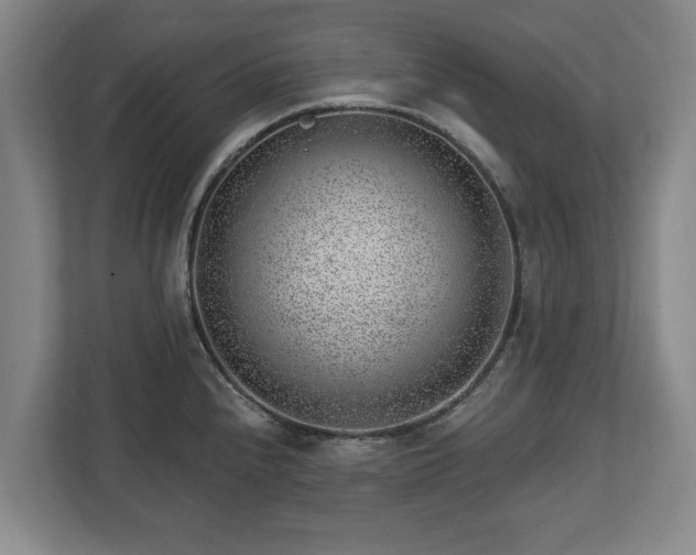 X0000112741240200908271515