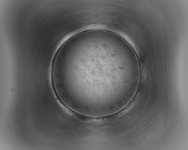 X0000112741245200908271515