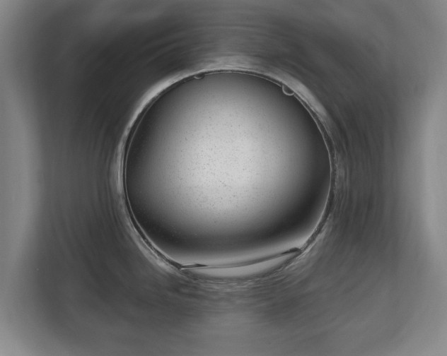 X0000112741246200908271515
