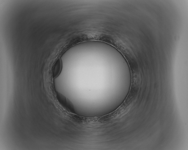 X0000112741249200908271514