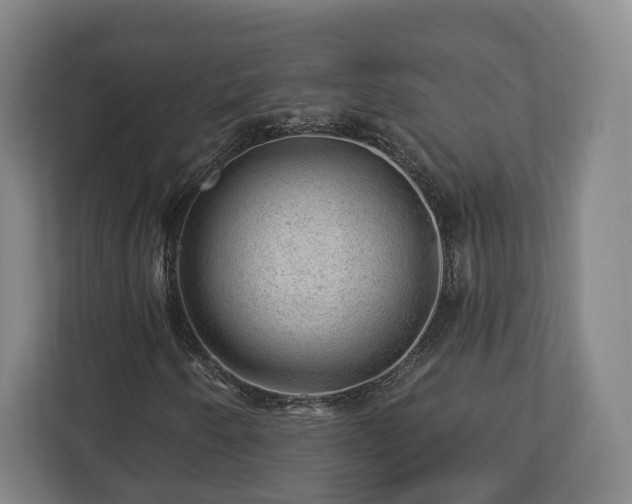 X0000112741250200908271514