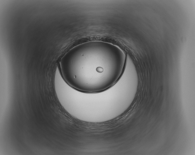X0000112741252200908271514