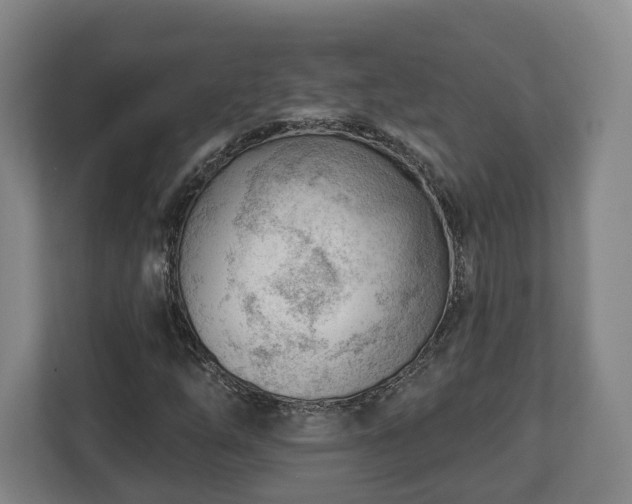 X0000112741254200908271514