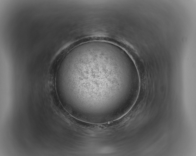 X0000112741255200908271514