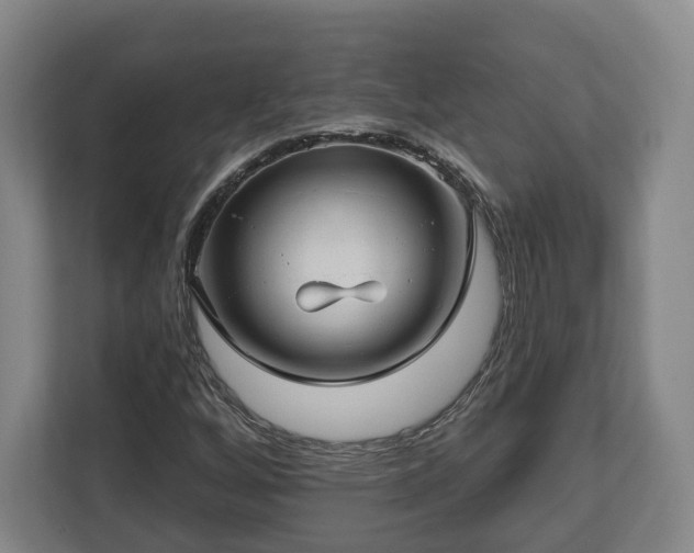 X0000112741256200908271514