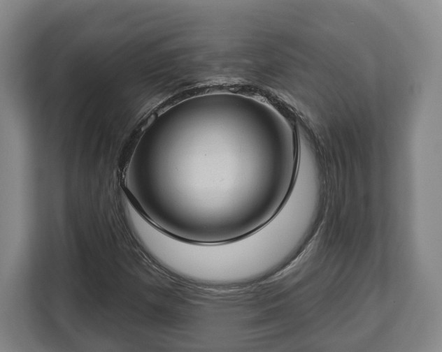 X0000112741257200908271514