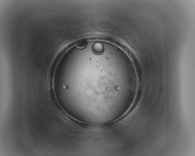 X0000112741259200908271514