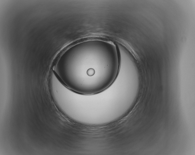 X0000112741260200908271514