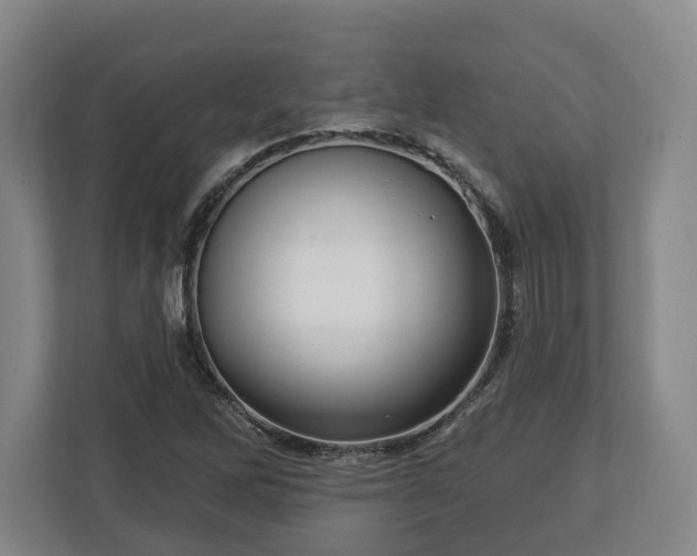 X0000112741262200908271514