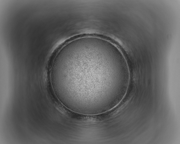 X0000112741263200908271514