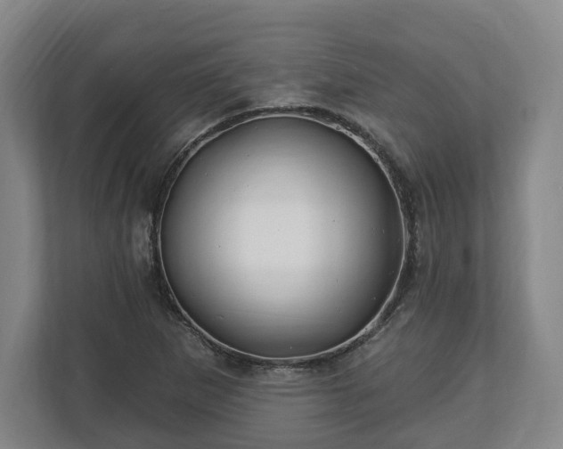 X0000112741265200908271514