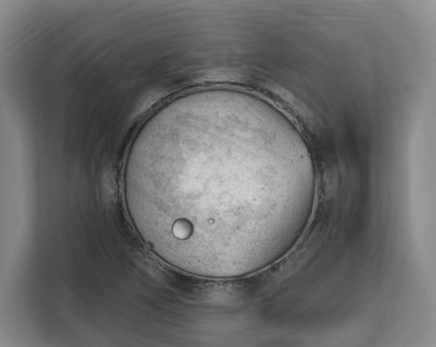 X0000112741266200908271514