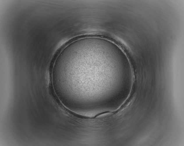 X0000112741267200908271514