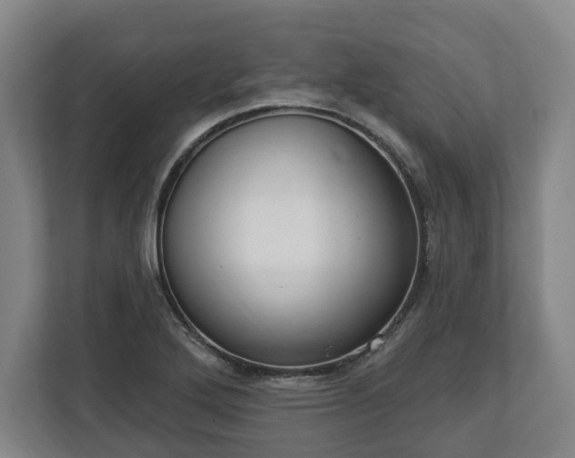 X0000112741272200908271514