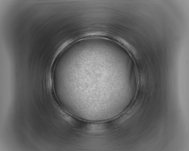 X0000112741274200908271514