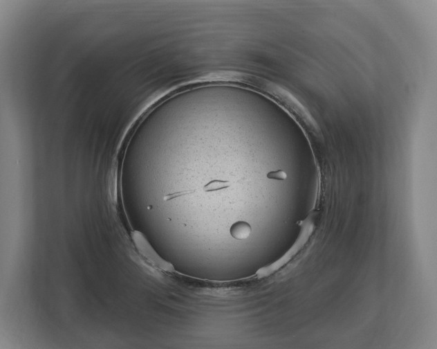 X0000112741276200908271514