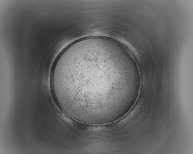 X0000112741278200908271514